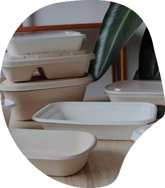 Bio-freundliche Lunchbox